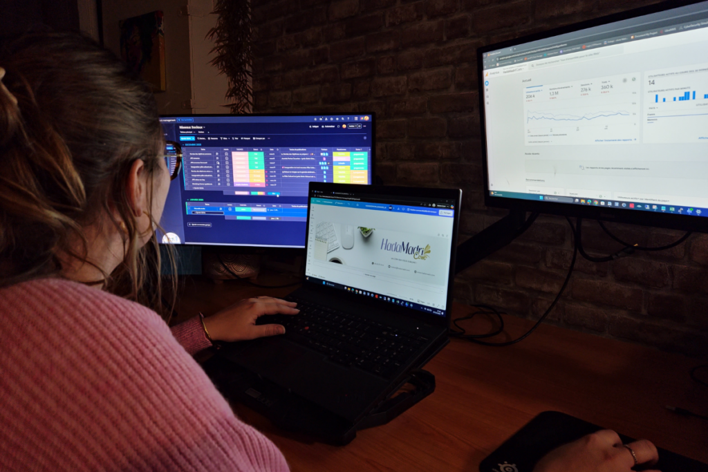 gestion_des_reseaux_sociaux